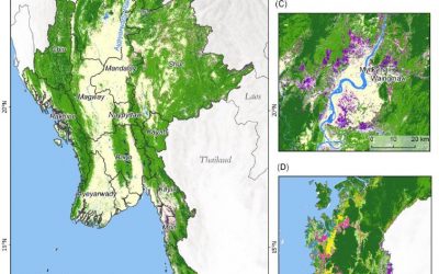 MSc on deforestation in Myanmar and its drivers