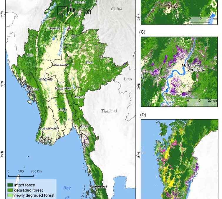 MSc on deforestation in Myanmar and its drivers