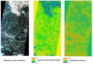 MSc opportunities: remote sensing in ecology and conservation