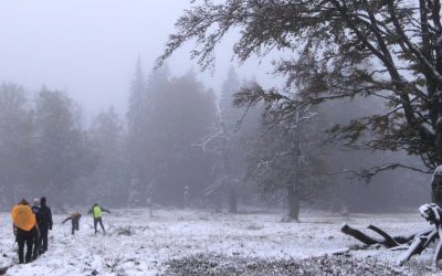 field course on remote sensing in the Bavarian Forest NP