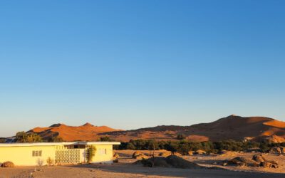 Cooperation with Namib desert Research Institute Gobabeb