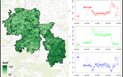 Master Defense: Comparing the suitability of remote sensing and wildlife camera time series for deriving phenological metrics of understory vegetation in temperate forests of Upper Franconia, Bavaria