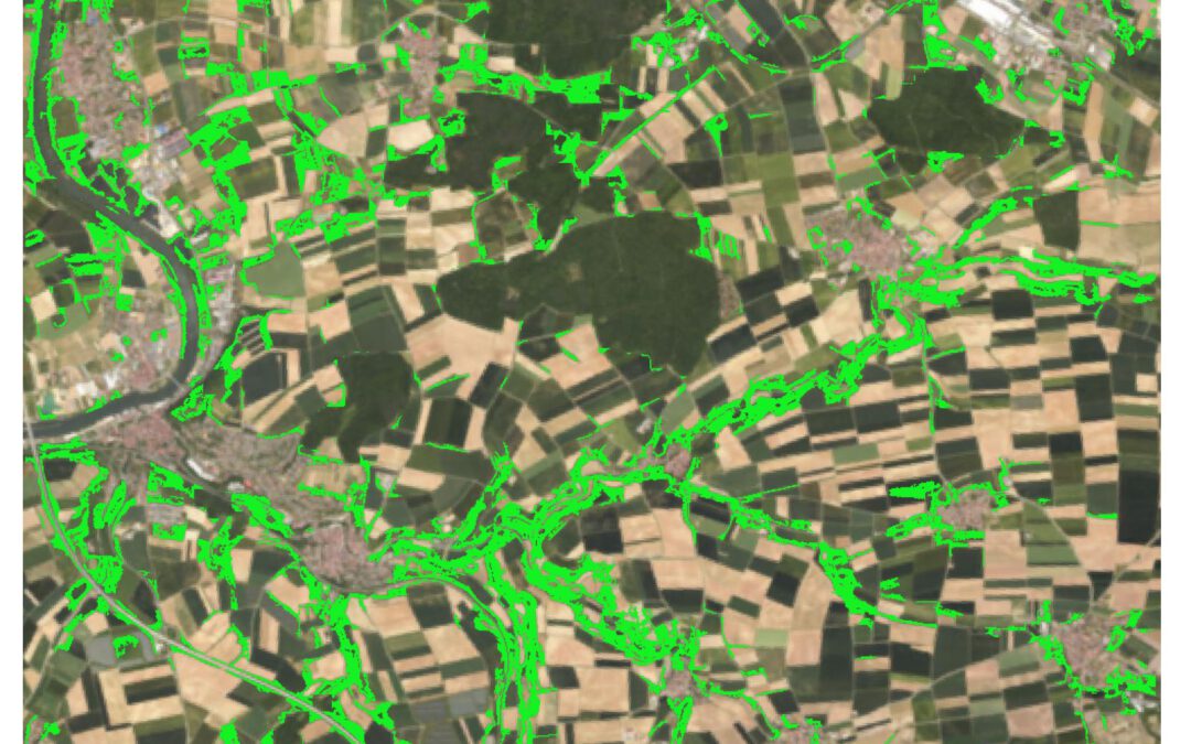 Master Defense: Detection of hedgerows and copses in the agricultural landscape of Lower Franconia (Germany) using earth observation data