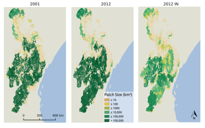 MSc by Asja Bernd: “Mind the Gap: A Global Analysis of Grassland Fragmentation using MODIS Land Cover Data”