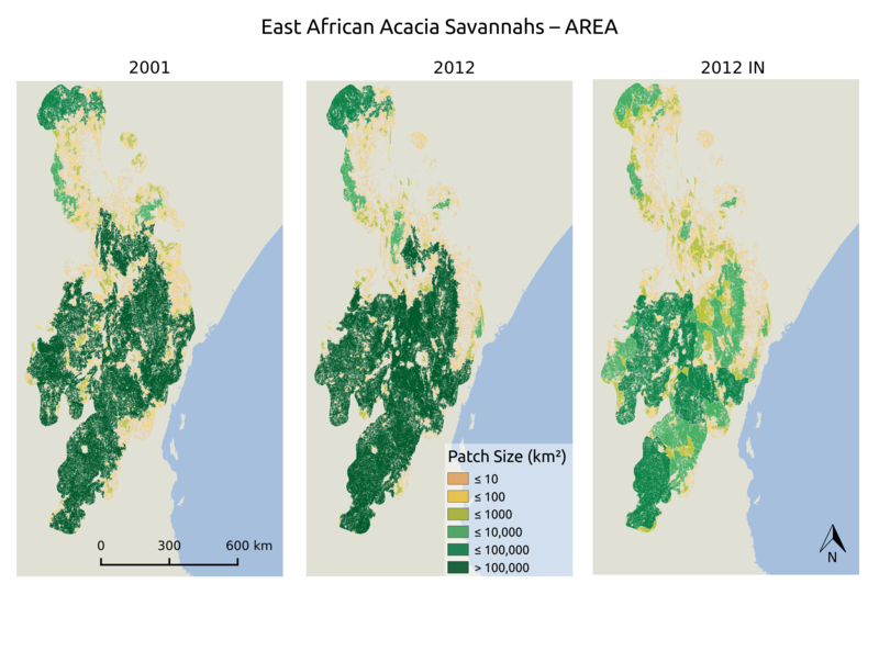 MSc by Asja Bernd: “Mind the Gap: A Global Analysis of Grassland Fragmentation using MODIS Land Cover Data”