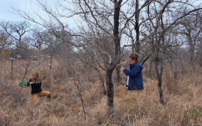 Our Earth Observation students doing their internship with SANparks, South Africa