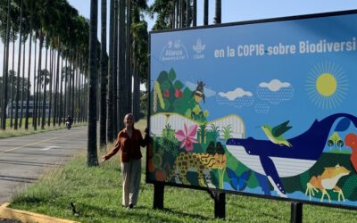 EAGLE internship at CIAT in Colombia