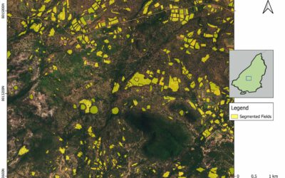 EAGLE Master Defense: Enhancing Land Cover Classification in Southern Africa Using Multi-Sensor and Multi-Algorithm Approaches