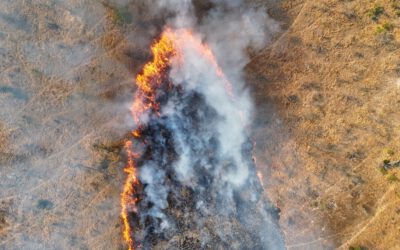 Mapping Fire from the Sky – Anna Bischof’s MSc Thesis on Savanna Fire Patterns