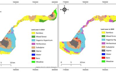 EAGLE MSc Defense “Utilizing deep learning and Earth Observation data to predict land cover changes in Volcanoes National Park, Rwanda”