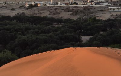 EAGLE Internship Presentation “Gobabeb Namib Research Institute”