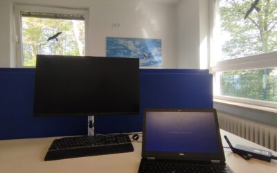 EAGLE Internship Presentation “Gobabeb Namib Research Institute”