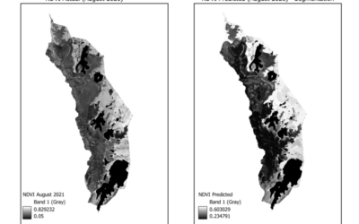 EAGLE Innolab Presentation: “Gap-Filling Optical NDVI Using SAR-Derived Indices and Machine Learning”