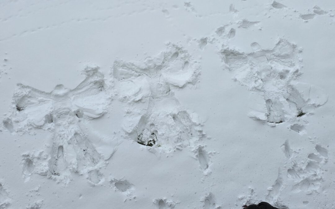 From Satellites to Snow Angels