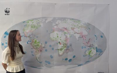 From Data to Impact: Viktoria Veith’s Internship at WWF
