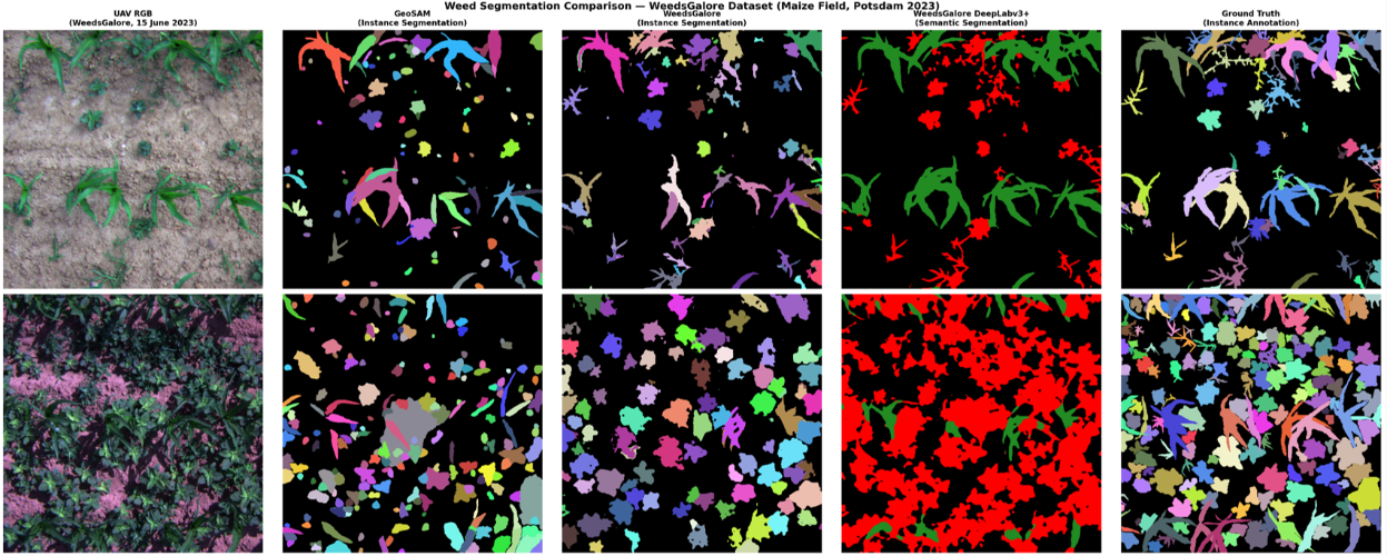 WeedSegmentationComparison.png